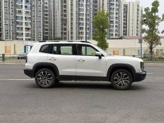 Great Wall Dachshund 1.5T DCT Labrador Edition - ფოტო 4