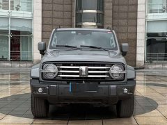 Tank 300 City Edition 2.0T Stylish - photo 2