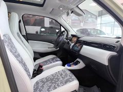 Leapmotor Leapo T03 Star Diamond Edition - ფოტო 12