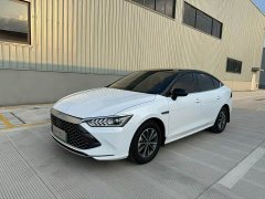 BYD Qin PLUS 2023 Champion Edition DM-i 55KM Exceed - ფოტო 1