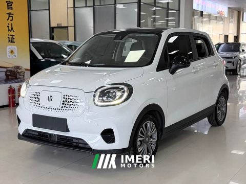 2021 Leapmotor Leapo T03 400 Luxury Edition - ავტომობილი ჩინეთიდან