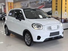 Leapmotor Leapo T03 400 Luxury Edition - ფოტო 3