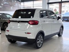 Leapmotor Leapo T03 400 Luxury Edition - ფოტო 4