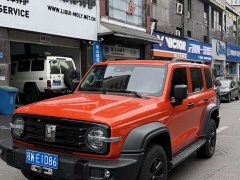Tank 300 2021 Off-Road Edition 2.0T Conqueror - ფოტო 1