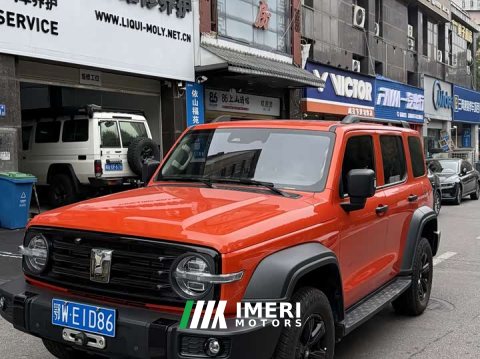 2022 Tank 300 2021 Off-Road Edition 2.0T Conqueror - ავტომობილი ჩინეთიდან