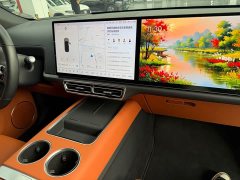 Li Auto L7 Pro - ფოტო 13