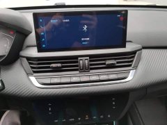 Dongfeng Yixuan 230T Automatic Shadow Knight Edition - ფოტო 13