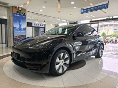 Tesla Model Y Rear-Wheel Drive - ფოტო 1