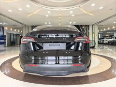 Tesla Model Y Rear-Wheel Drive - ფოტო 14