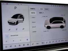 Li Auto L7 Max - ფოტო 10