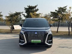 Denza BYD Denza D9 2024 EV 620 Premium Edition - ფოტო 2