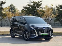 Denza BYD Denza D9 2024 EV 620 Premium Edition - ფოტო 3