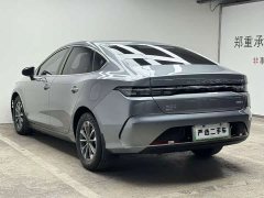BYD Destroyer 05 Champion Edition DM-i 55KM Luxury - ფოტო 5