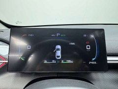 BYD Destroyer 05 Champion Edition DM-i 55KM Luxury - ფოტო 8