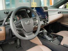 Lexus ES 300h Premium Edition - ფოტო 11