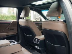 Lexus ES 300h Premium Edition - ფოტო 15