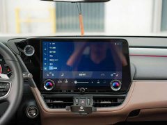 Lexus ES 300h Premium Edition - ფოტო 19