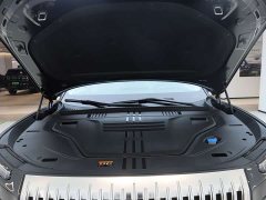 Zeekr 8X Max 55kWh - ფოტო 8