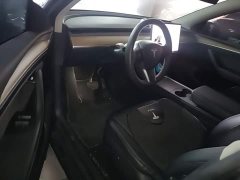 Tesla Model Y Long Range All-Wheel Drive 3D7 - ფოტო 13