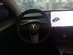 Tesla Model Y Long Range All-Wheel Drive 3D7 - ფოტო 2