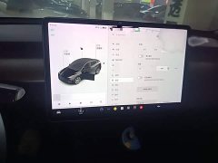 Tesla Model Y Long Range All-Wheel Drive 3D7 - ფოტო 3
