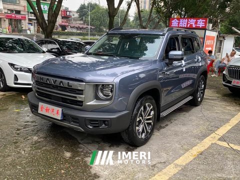 2023 Great Wall Dachshund 2024 1.5T DCT Labrador Edition - ავტომობილი ჩინეთიდან