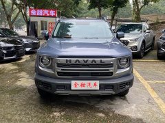 Great Wall Dachshund 2024 1.5T DCT Labrador Edition - ფოტო 2