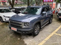 Great Wall Dachshund 2024 1.5T DCT Labrador Edition - ფოტო 3