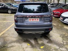 Great Wall Dachshund 2024 1.5T DCT Labrador Edition - ფოტო 5