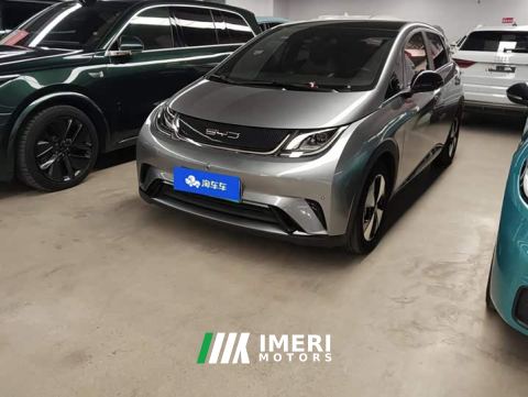 2023 BYD Dolphin 420km Fashion Edition