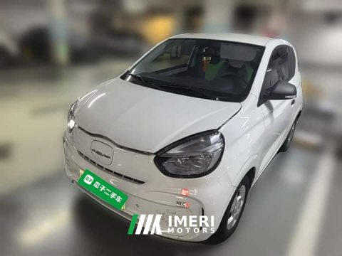 2021 SAIC Corey Wei CLEVER 302km All-Purpose Edition - ავტომობილი ჩინეთიდან