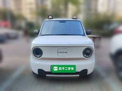 Geely Panda Mini 200km Endurance Edition - ფოტო 2