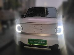 Geely Panda Mini 200km Agile Panda - ფოტო 2