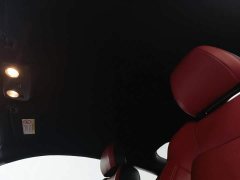 Ford Mustang 2021 2.3T EcoBoost Black Obsidian Special Edition - ფოტო 14