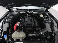 Ford Mustang 2021 2.3T EcoBoost Black Obsidian Special Edition - ფოტო 6