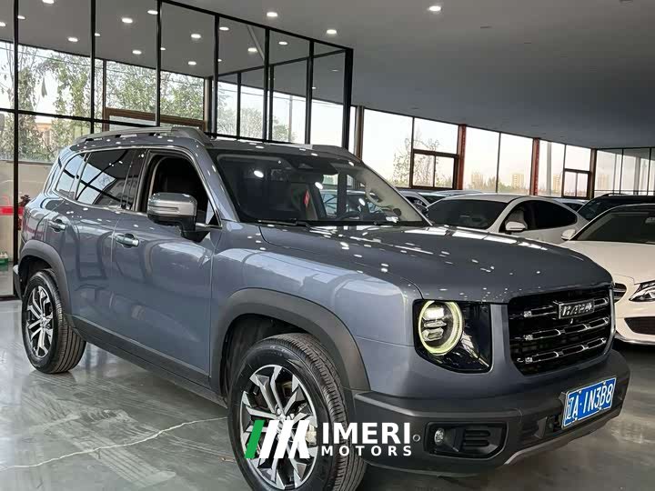 Great Wall Dachshund 1.5T DCT Two-Wheel Drive Border Collie Edition - ავტომობილი ჩინეთიდან