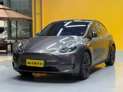 Tesla Model Y 2021 Standard Range RWD - ფოტო 1