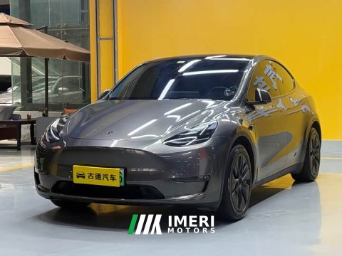 2022 Tesla Model Y 2021 Standard Range RWD - ავტომობილი ჩინეთიდან