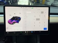 Tesla Model Y 2021 Standard Range RWD - ფოტო 18