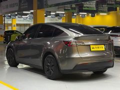 Tesla Model Y 2021 Standard Range RWD - ფოტო 5