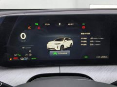 Chery Fengyun T10 210 Luxury Edition - ფოტო 14