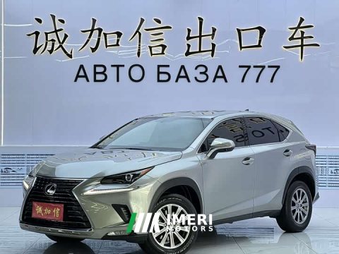 2021 Lexus NX 2020 200 FWD Sharp Edition National VI - ავტომობილი ჩინეთიდან