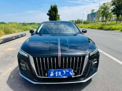 FAW Red Flag H5 1.5T DCT Qiyun Edition - ფოტო 2