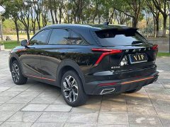 Haval Divine Beast 1.5T Smart Premium Edition - ფოტო 7