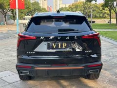 Haval Divine Beast 1.5T Smart Premium Edition - ფოტო 8