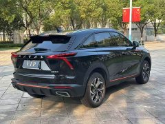 Haval Divine Beast 1.5T Smart Premium Edition - ფოტო 9