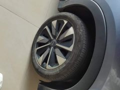 BYD Song Plus New Energy 2025 EV 520km Luxury - ფოტო 6