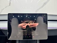 Tesla Model Y 2023 Long Range All-Wheel Drive - ფოტო 11