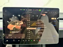 Tesla Model Y 2023 Long Range All-Wheel Drive - ფოტო 16