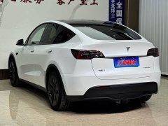 Tesla Model Y 2023 Long Range All-Wheel Drive - ფოტო 4